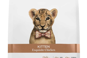 Kitten - Exquisite Chicken