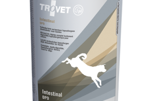 Intestinal | DPD - WET